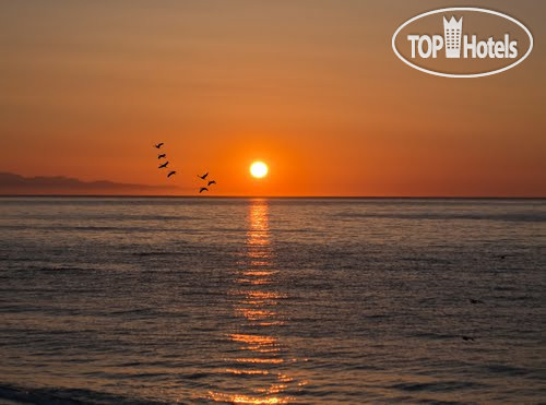 New photos from tourists Villa Athena 3*