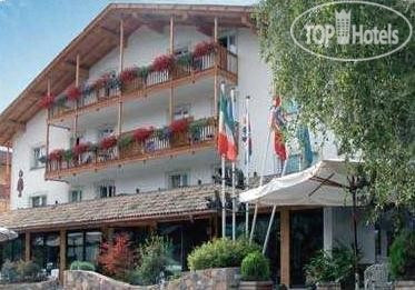 Hotel photo Los Andes hotel Castello di Fiemme 3*
