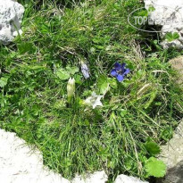 Sport Hotel Sass Maor