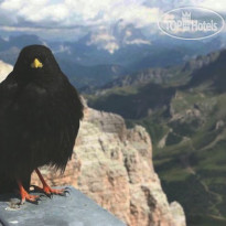 Sport Hotel Sass Maor