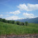 Perlaie Agritur 