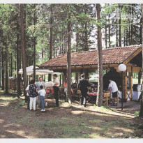 Park Hotel & Club Diamant Campitello