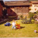 Rancolin hotel Moena 