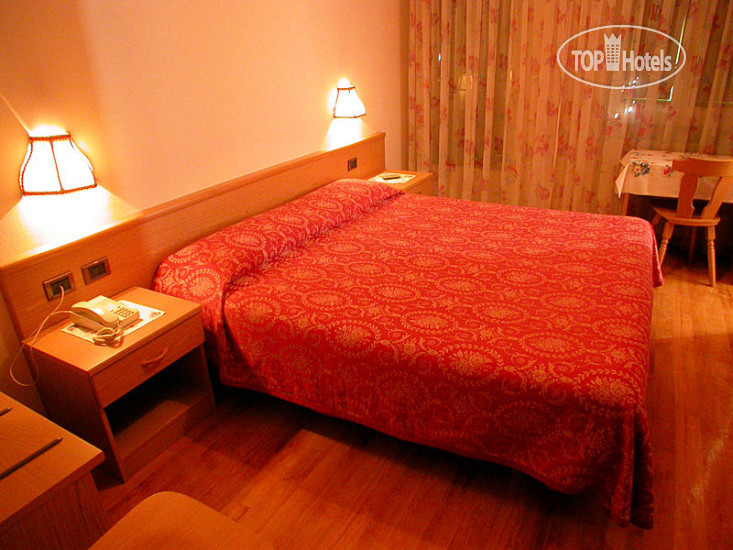 New photos from tourists Albergo Primula 2*