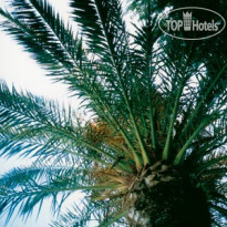 Alessandra hotel Numana