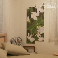 Cypriot Swallow Boutique Hotel 