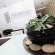 Akamas Health Farm & Spa Cyprus 