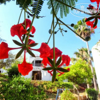 Latchi Family Resort 