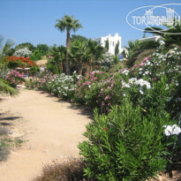 Rododafni Beach Apartments & Villas