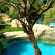 Les Villas At Le Meridien 