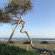 Robinson Club Cyprus 