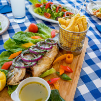 The Golden Coast Beach Hotel 