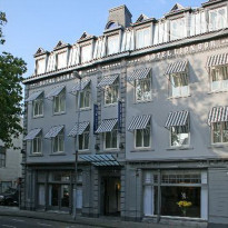 Golden Tulip Lion d Or