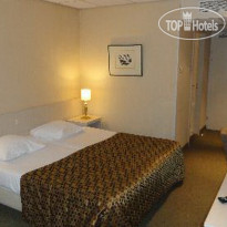 Golden Tulip Lion d Or