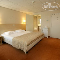 Golden Tulip Lion d Or