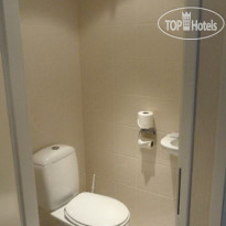Golden Tulip Lion d Or