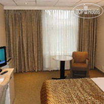 Golden Tulip Lion d Or