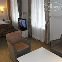 Golden Tulip Lion d Or