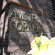Amstel Corner 