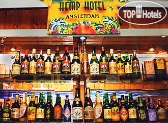 New photos from tourists The Hemp 3*