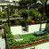 Estoril Porto Hotel Терраса в саду