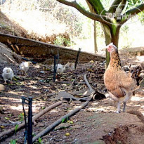 Quinta do Alto de Sao Joao