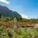 Pestana Quinta do Arco 