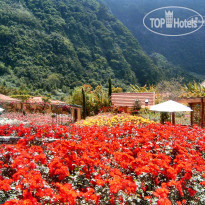 Pestana Quinta do Arco