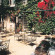 As Janelas Verdes 