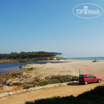 Solgarve 