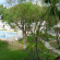 Jardins Da Falesia 