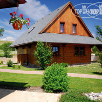 Sojka