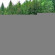 Jasna 