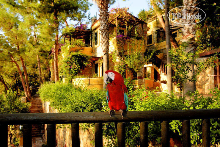 Photos Symbola Oludeniz Beach Hotel