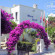 Miray Hotel 