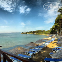 Omer Holiday Resort Shark Hotels 