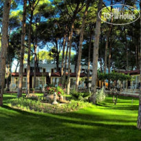 Omer Holiday Resort Shark Hotels 