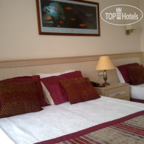 Merry Hotel 