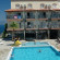 Palmera 