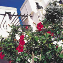 Art Bodrum
