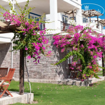 Aktur Residence