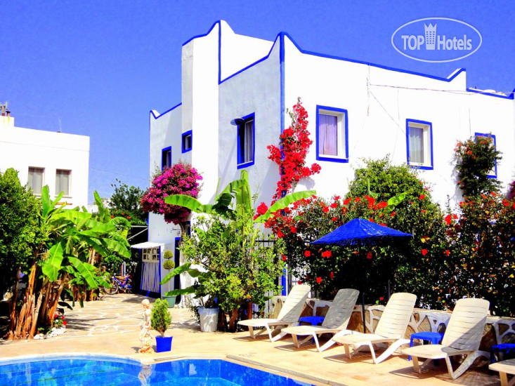 Hotelier's photos Artunc 3*