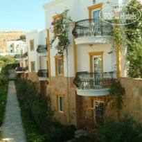 Tropicana Beach Hotel Отель