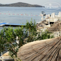 Doria Beachfront Residence 