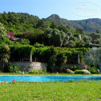 Antik Zeytin Hotel & Art