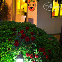 Dilek Apart Hotel