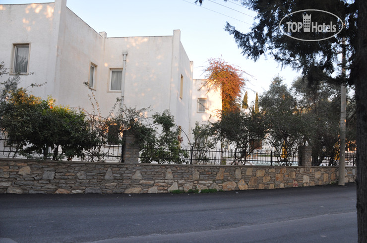 New photos from tourists Princess Diltua