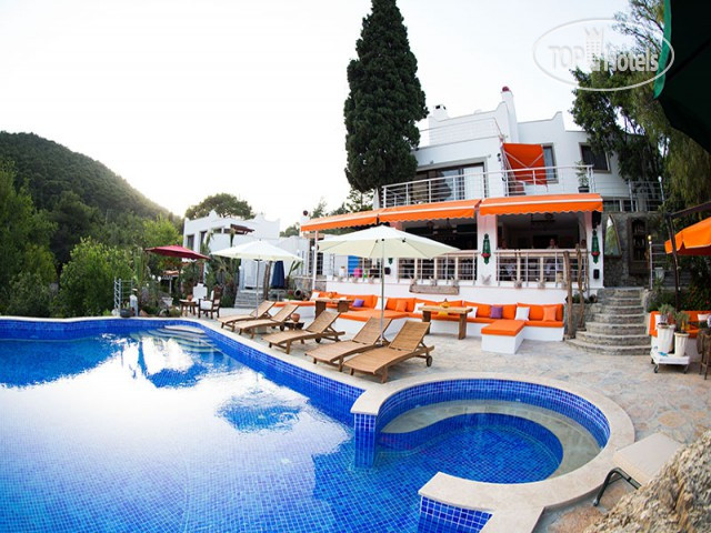 Hotel photo Pitahaya Home 