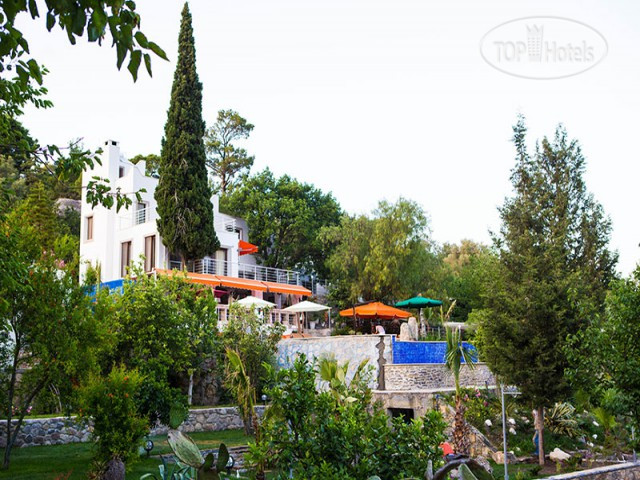 New photos from tourists Pitahaya Home