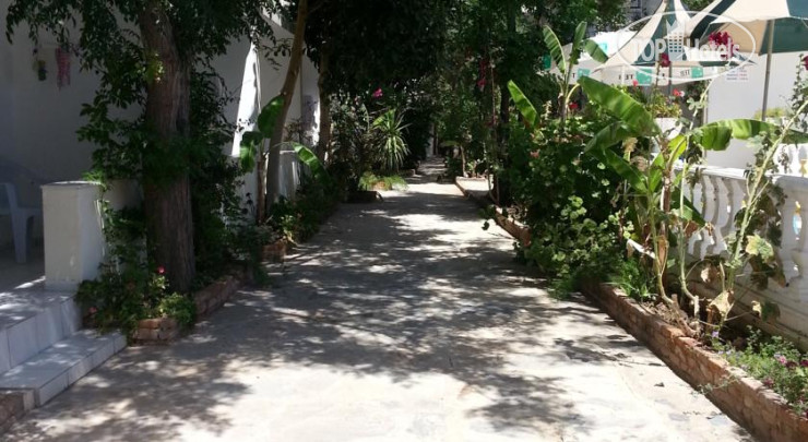 New photos from tourists Florida Hotel